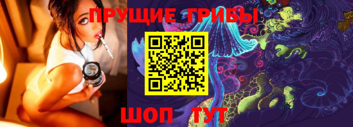 Знаменск  Галлюциногенные грибы прущие грибы  Вход с VPN 