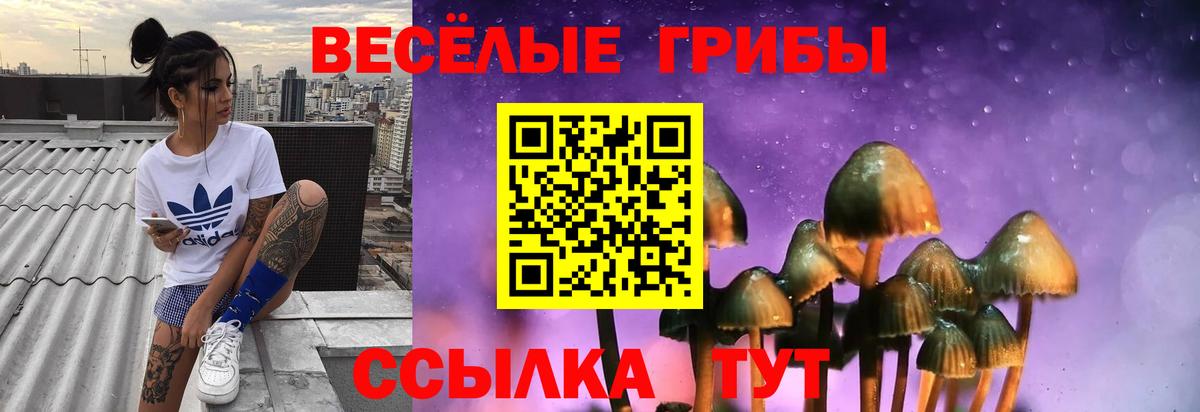 Псилоцибиновые грибы GOLDEN TEACHER Знаменск